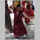 49. de monniken proberen mekaar van hun gelijk te overtuigen door hard in de handen te klappen terwijl ze spreken.JPG